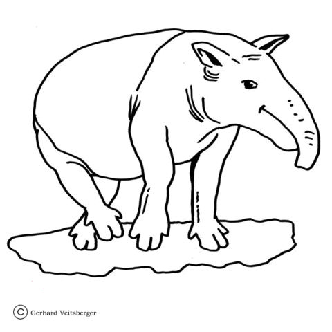 Giant Ant Eater Coloring Page